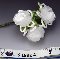 BRIDAL FLOWERS