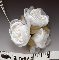 BRIDAL FLOWERS