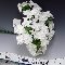 BRIDAL FLOWERS